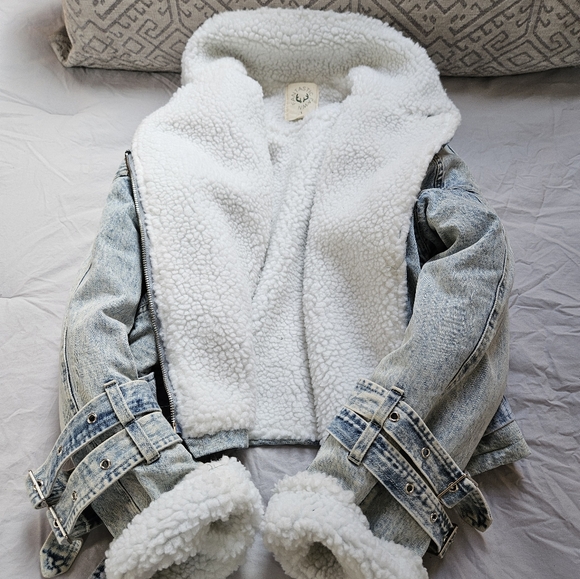 Jacket - Picture 2 of 5